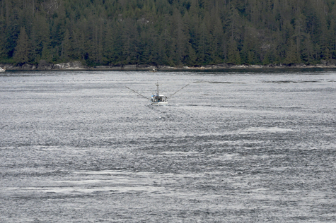 Melanie Heinrich Images - Alaska